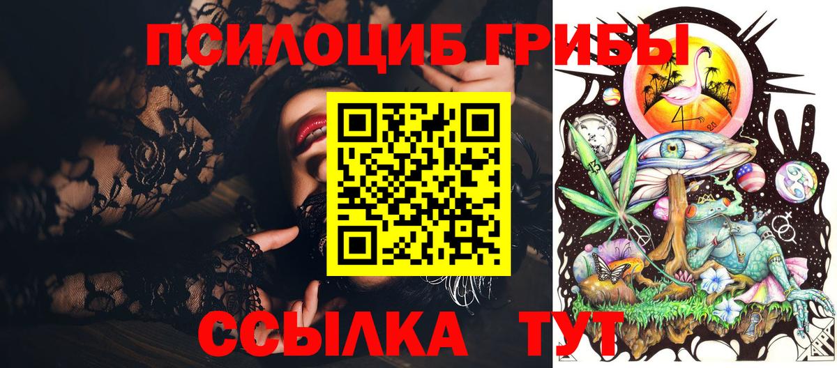 Галлюциногенные грибы Psilocybe Новоуральск