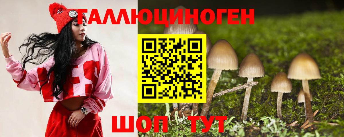 Галлюциногенные грибы MAGIC MUSHROOMS  где купить наркотик  Новоуральск  Вход с VPN 
